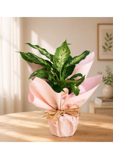 Emerald Elegance – Premium Yeşil Bitki